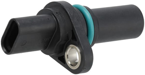 Weidemann Sensor - 1 Stück - 1000433812