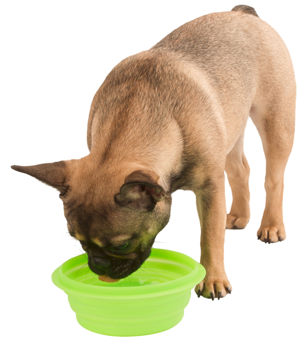 Kerbl Artikel 80502 im Online Shop kaufen