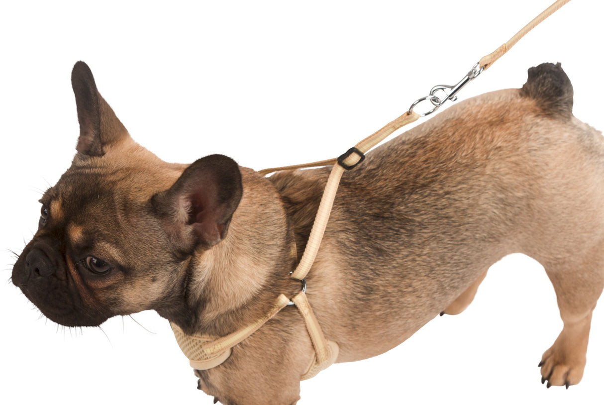 Kerbl Artikel 81086 im Online Shop kaufen