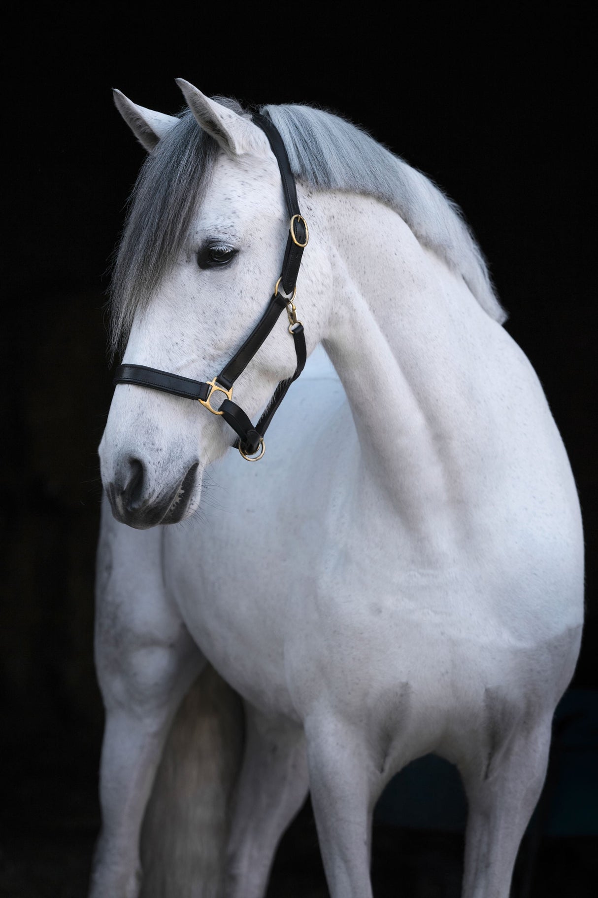 Kerbl Artikel 32255 im Online Shop kaufen