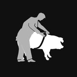 Kerbl Viehmaßband Animeter im Kunststoffgehäuse 219