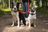Kerbl Artikel 37988 im Online Shop kaufen
