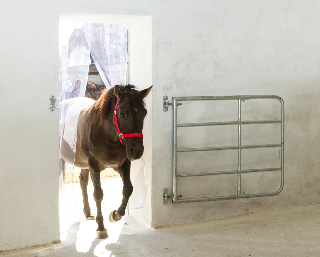 Kerbl Artikel 291150 im Online Shop kaufen