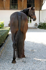 Kerbl Artikel 328657 im Online Shop kaufen