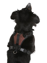 Kerbl Artikel 81019 im Online Shop kaufen