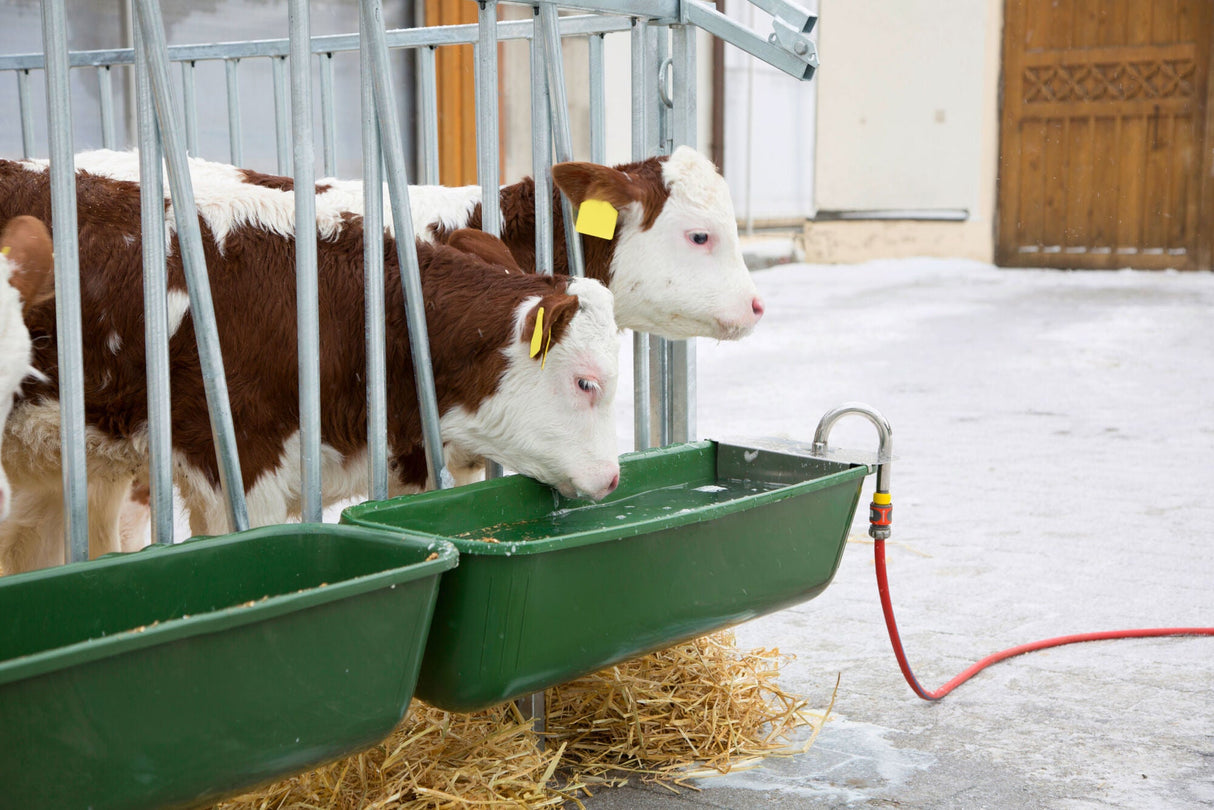 Kerbl Langfuttertrog mit Schwimmer- einsatz 223111