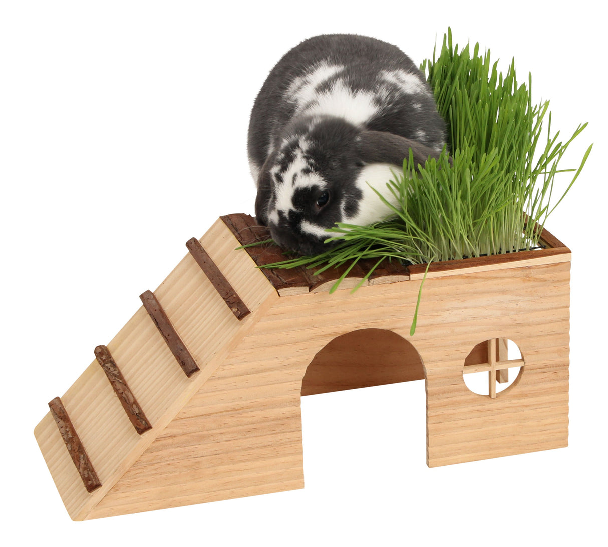 Kerbl Artikel 82746 im Online Shop kaufen