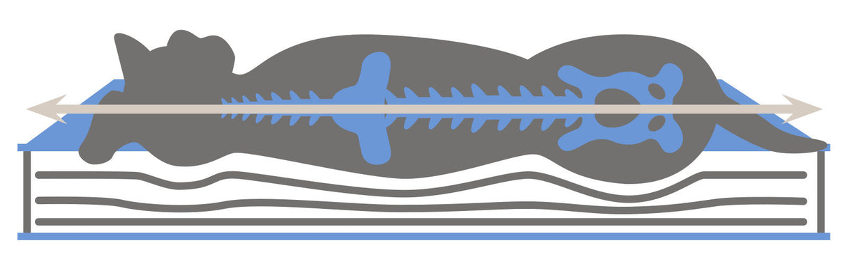 Kerbl Artikel 80326 im Online Shop kaufen