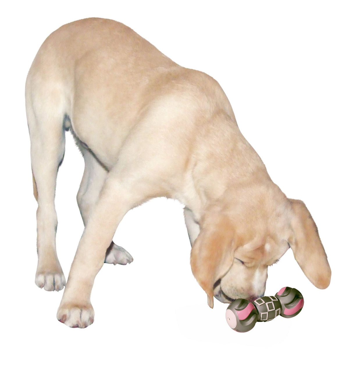 Kerbl Artikel 83513 im Online Shop kaufen