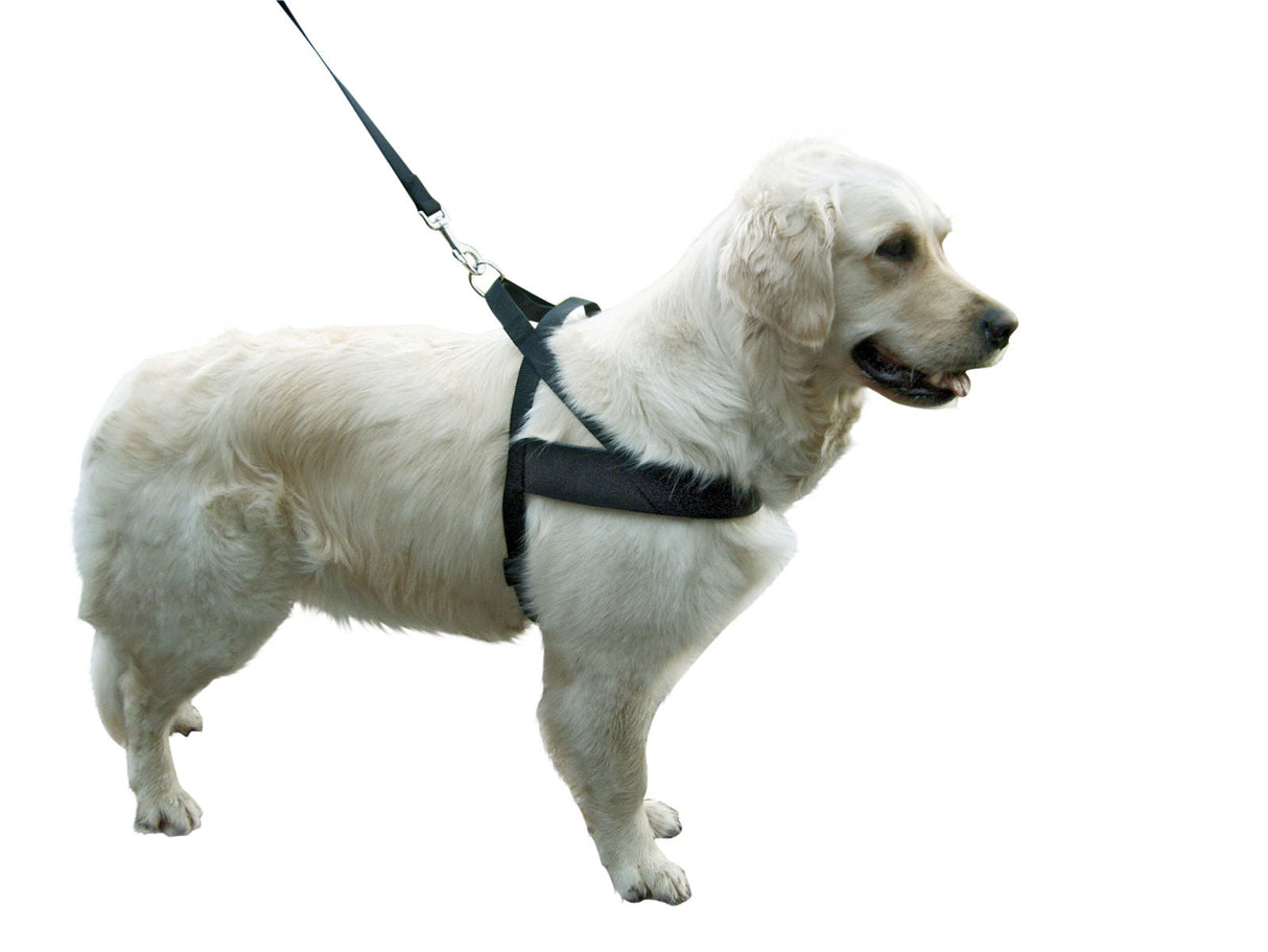 Kerbl Artikel 83940 im Online Shop kaufen