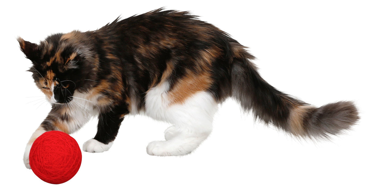 Kerbl Artikel 81664 im Online Shop kaufen