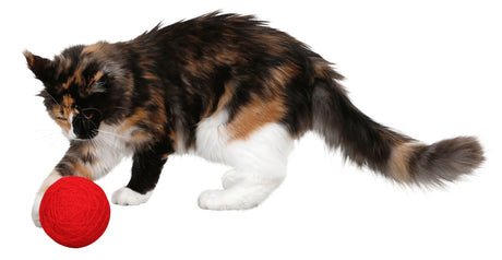 Kerbl Artikel 81664 im Online Shop kaufen