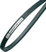 KRAMP Keilriemen,C122 22x3099 Optibelt VB223099