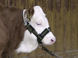 Kerbl Artikel 12515 im Online Shop kaufen