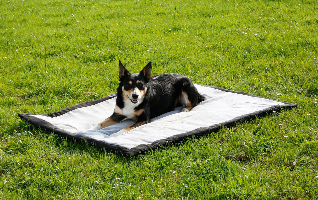 Kerbl Artikel 81265 im Online Shop kaufen