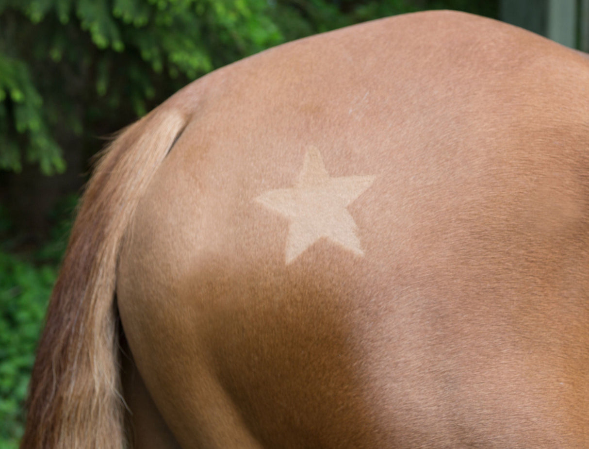 Kerbl Artikel 321900 im Online Shop kaufen