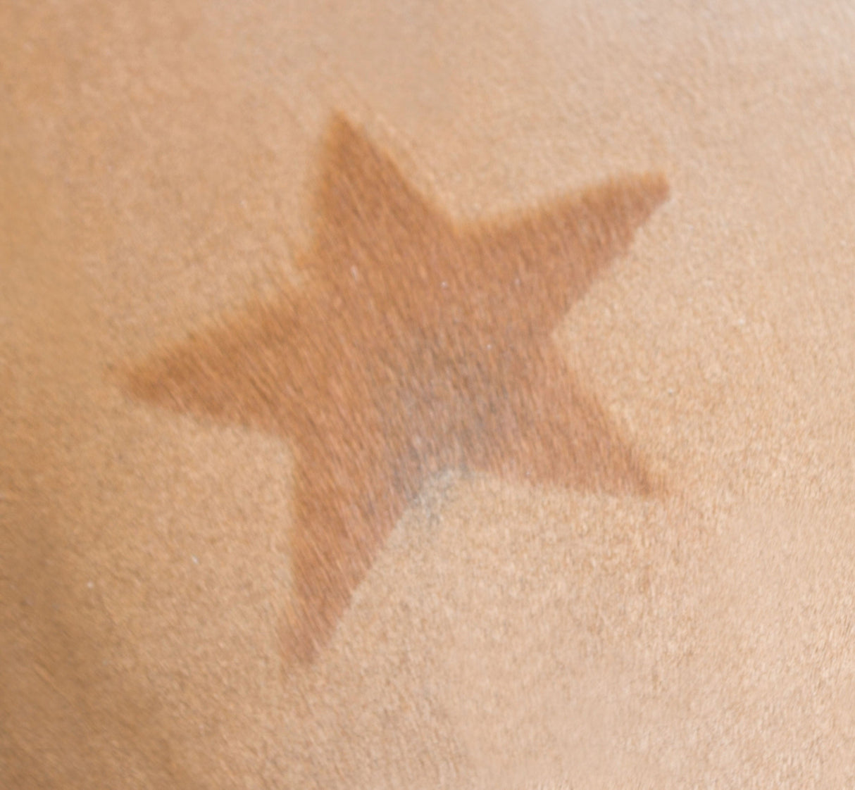 Kerbl Artikel 321900 im Online Shop kaufen