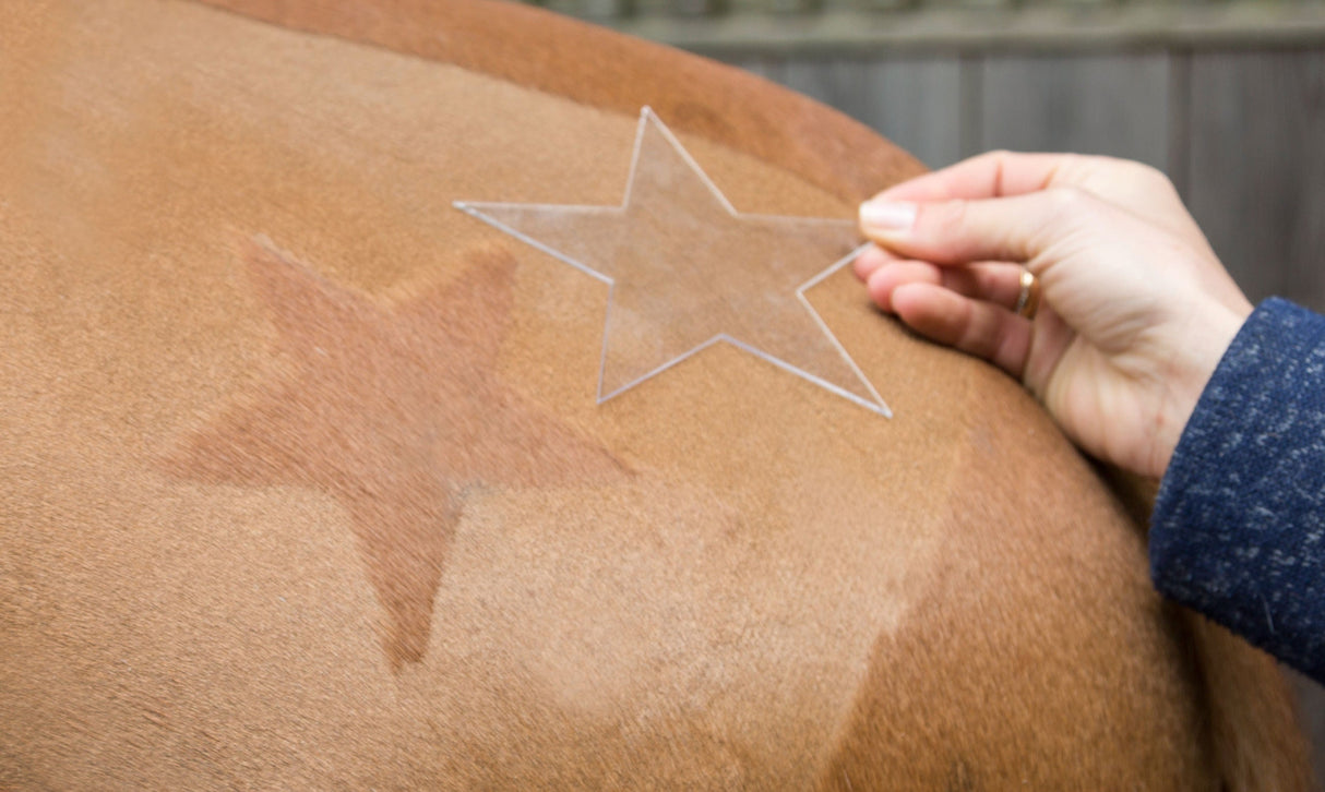 Kerbl Artikel 321900 im Online Shop kaufen