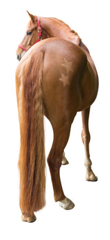 Kerbl Artikel 321900 im Online Shop kaufen