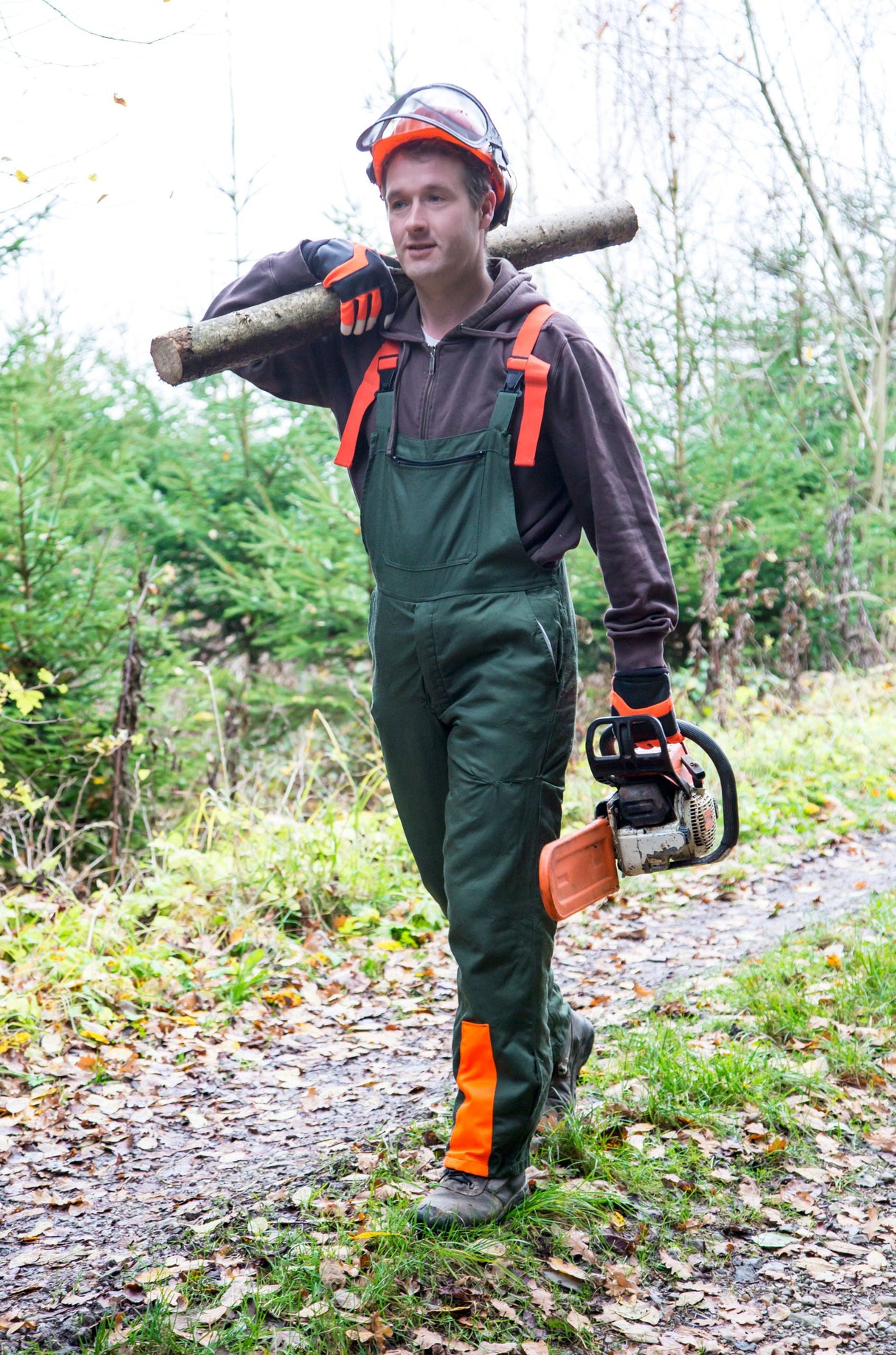 Kerbl Artikel 297527 im Online Shop kaufen