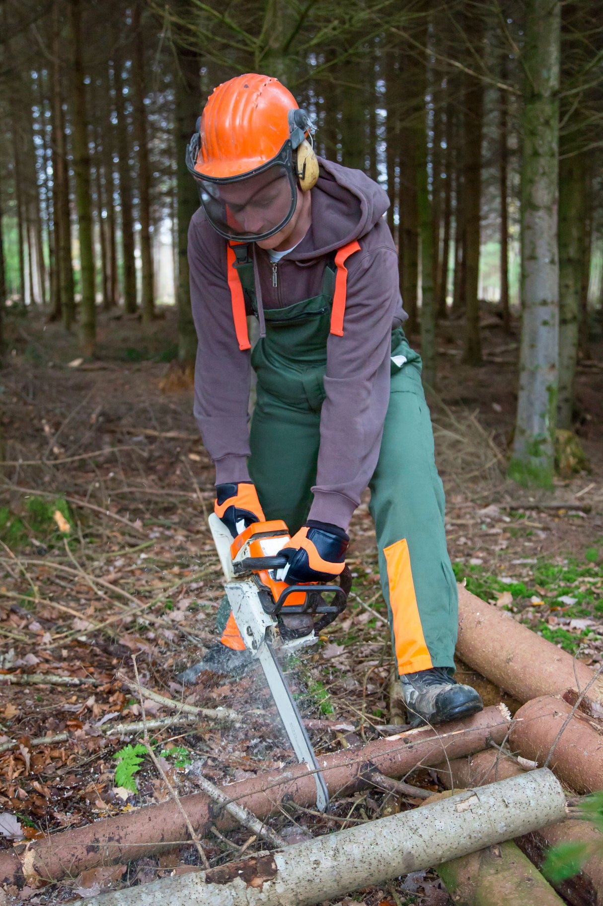 Kerbl Artikel 297527 im Online Shop kaufen