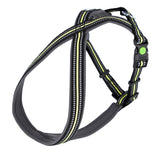 Kerbl Artikel 80234 im Online Shop kaufen