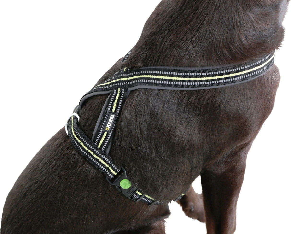 Kerbl Artikel 80234 im Online Shop kaufen