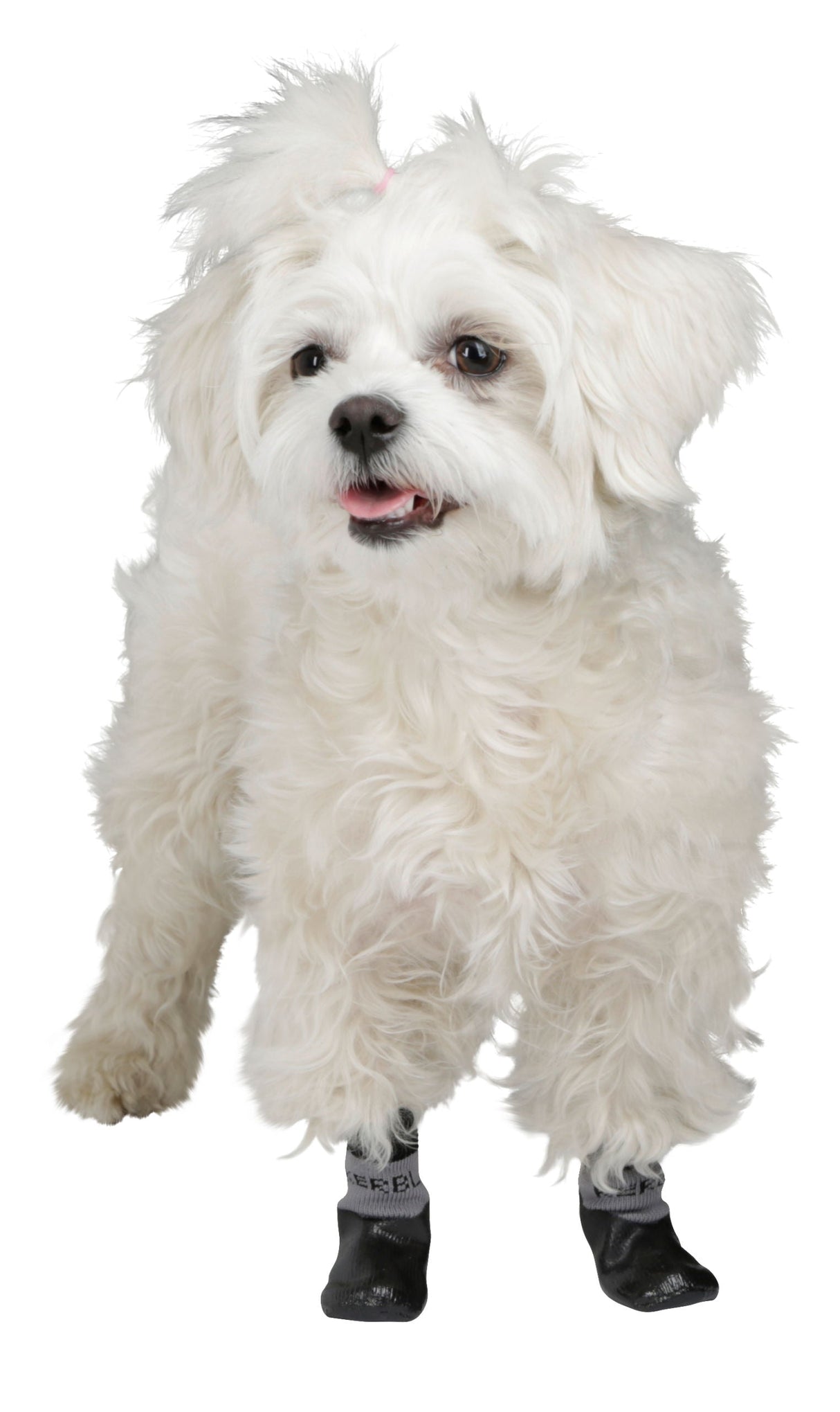 Kerbl Artikel 80647 im Online Shop kaufen