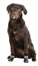 Kerbl Artikel 80647 im Online Shop kaufen