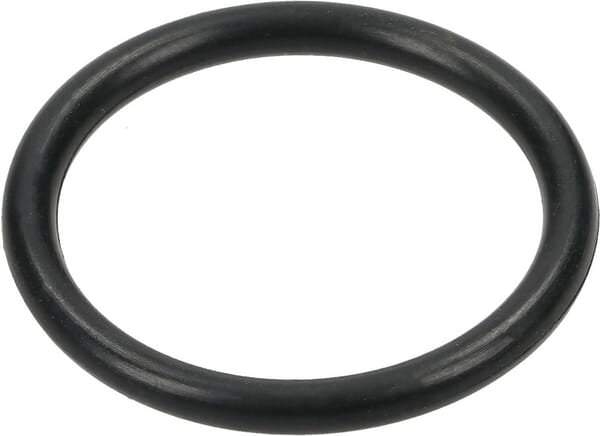 Comet O-Ring 22,22x2,62mm 12100047