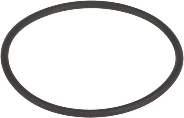 Comet O-Ring Viton 265/305 12100107