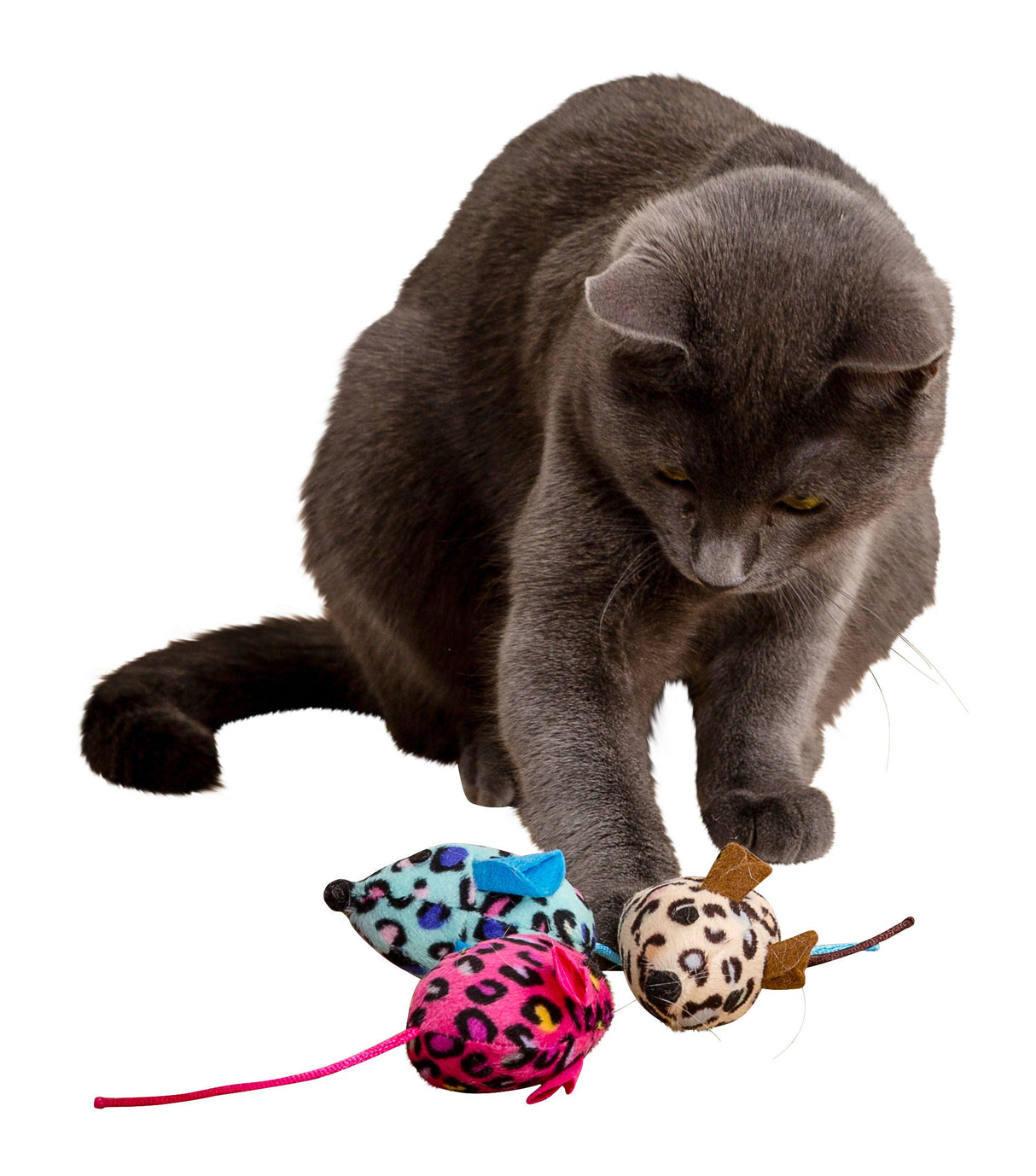 Kerbl Artikel 81671 im Online Shop kaufen