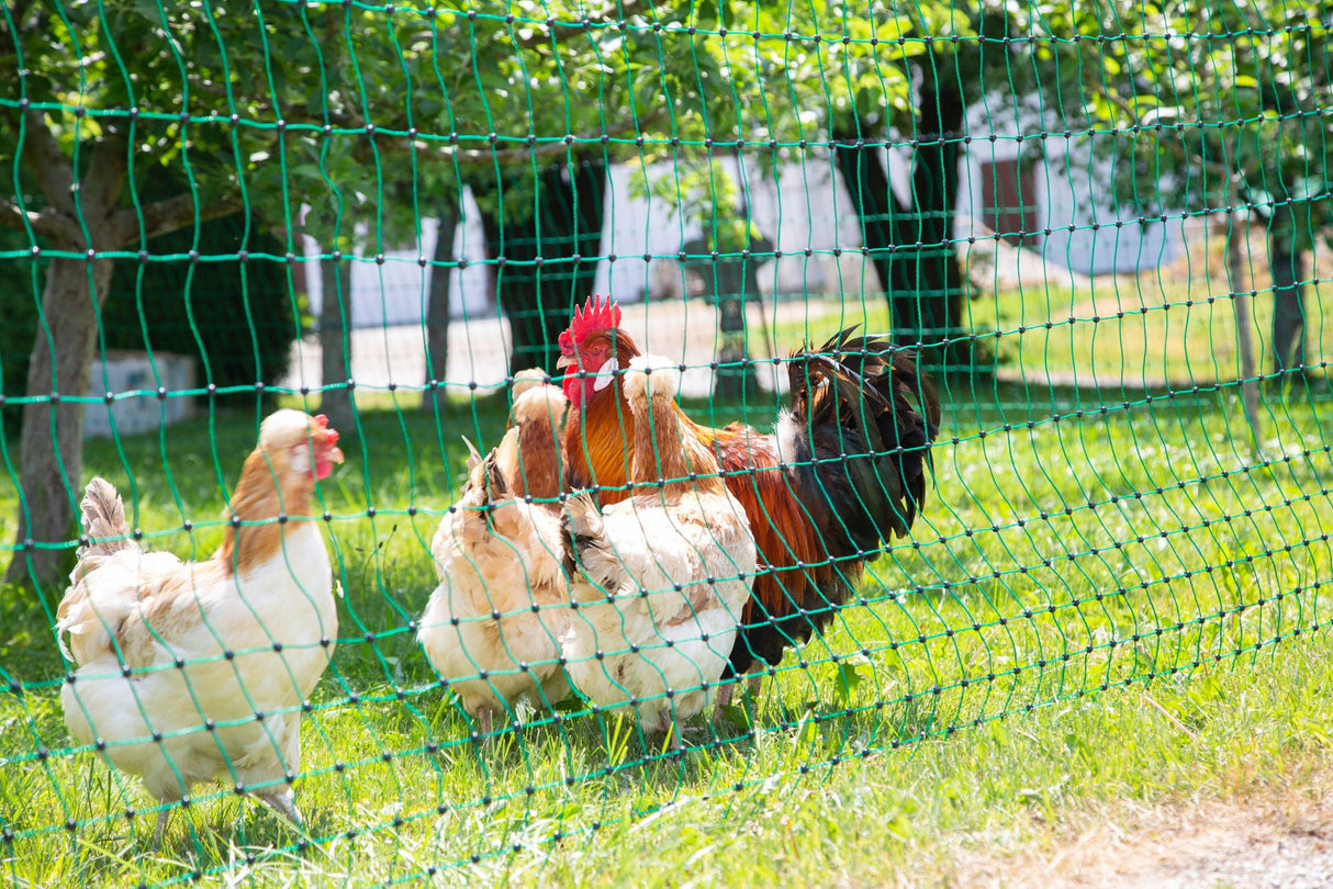 Kerbl Geflügelnetz grün, el. leitend 25 mtr. / 106cm Doppelspitze 1 Stück 292273