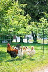 Kerbl Geflügelnetz 50 mtr., 106 cm Einzelspitz, grün, ohne Strom 1 Stück 292276