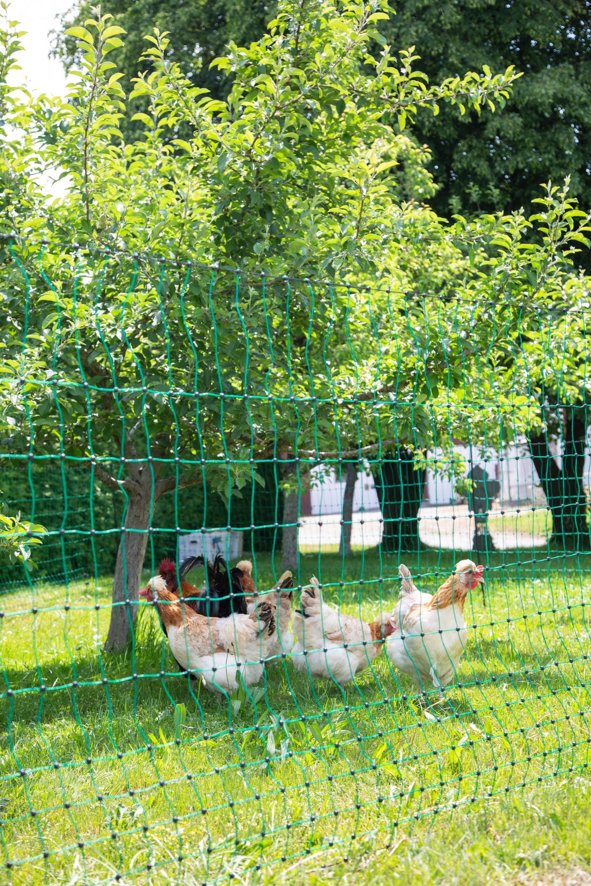 Kerbl Geflügelnetz grün, el. leitend 25 mtr. / 106cm Doppelspitze 1 Stück 292273