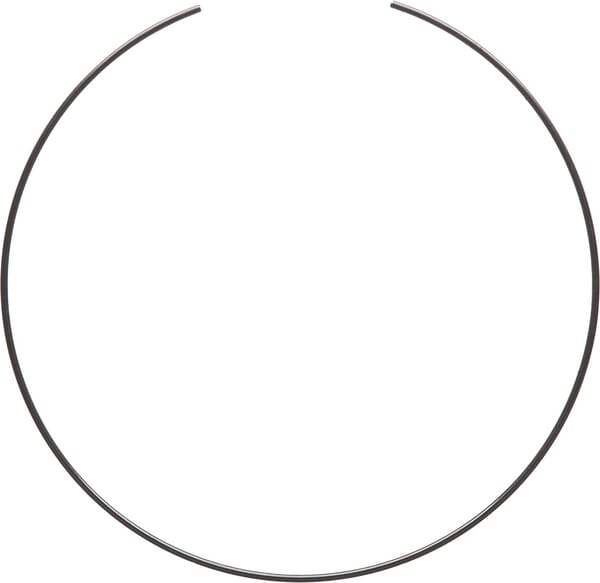 Circlips