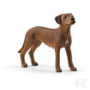 Schleich Rhodesian Ridgeback 13895SCH