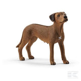 Schleich Rhodesian Ridgeback 13895SCH