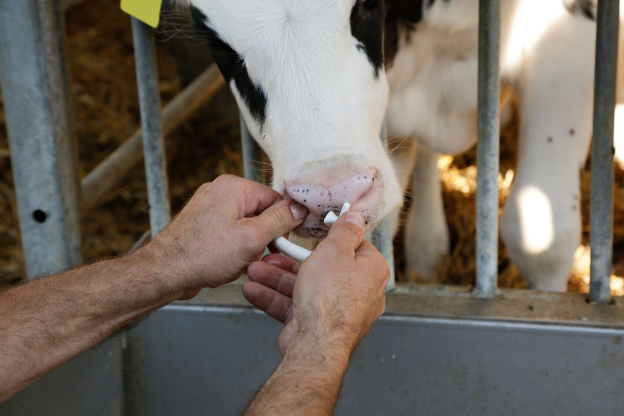 Kerbl Artikel 13140 im Online Shop kaufen