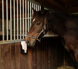 Kerbl Artikel 324803 im Online Shop kaufen