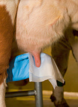 Kerbl Artikel 15817 im Online Shop kaufen