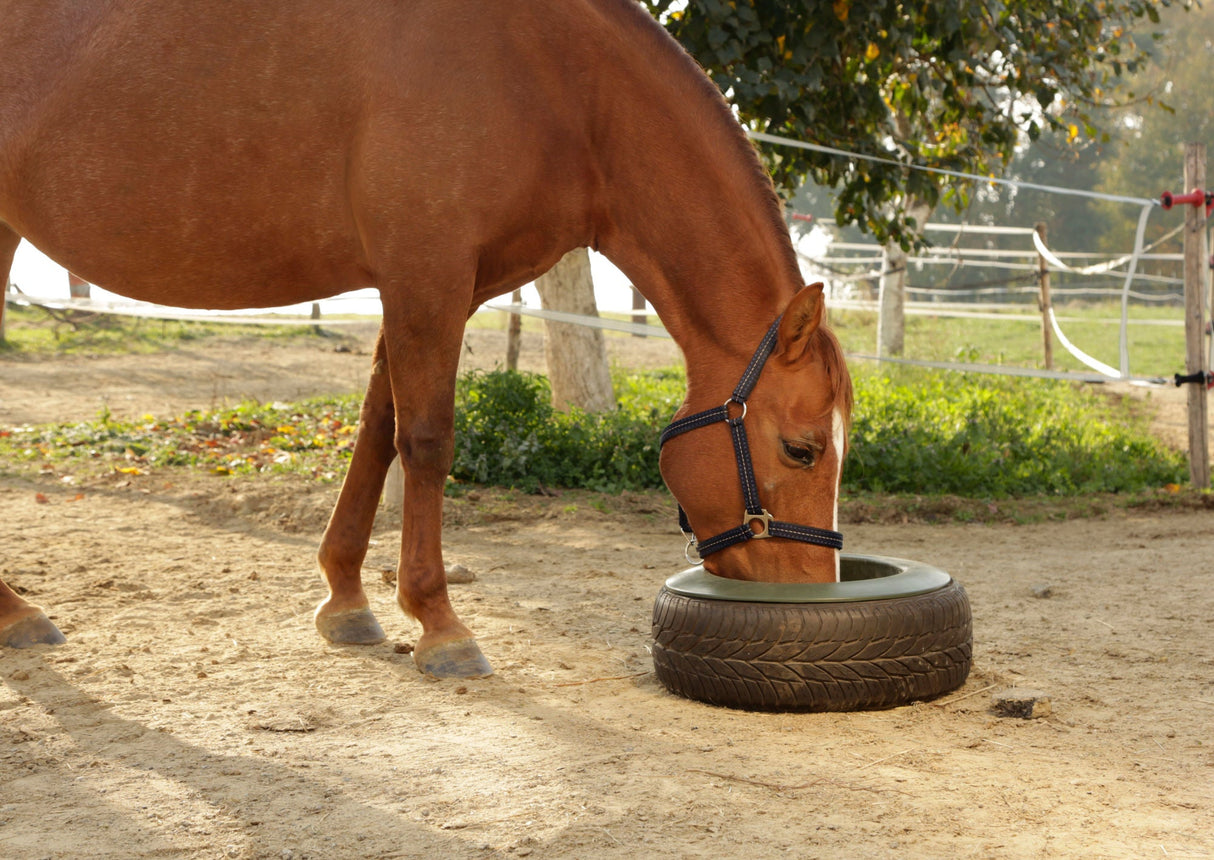 Kerbl Reifentrog, 15 Liter 324826