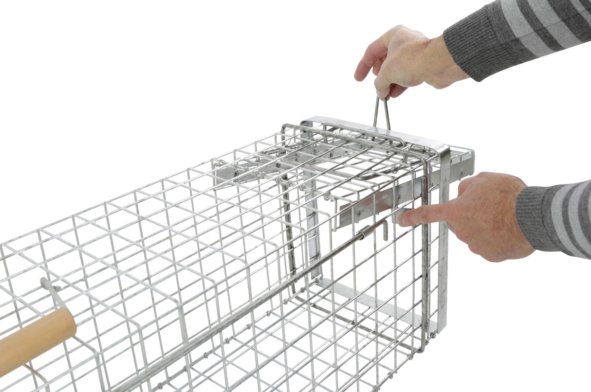 Kerbl Artikel 299476 im Online Shop kaufen