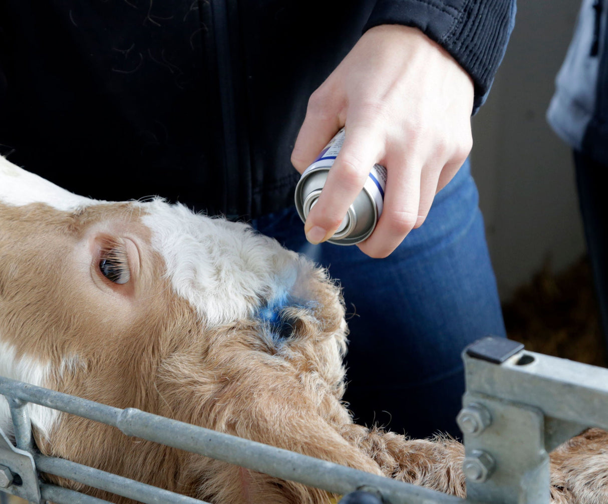 Kerbl Hautpflege Bluespray 200ml 1 Stück 15890