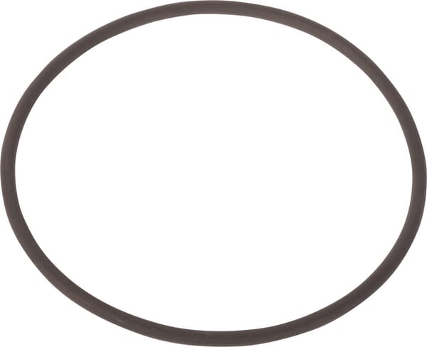 New Holland / Case O-RING - 2 STÜCK 14465681 original CNH Ersatzteil