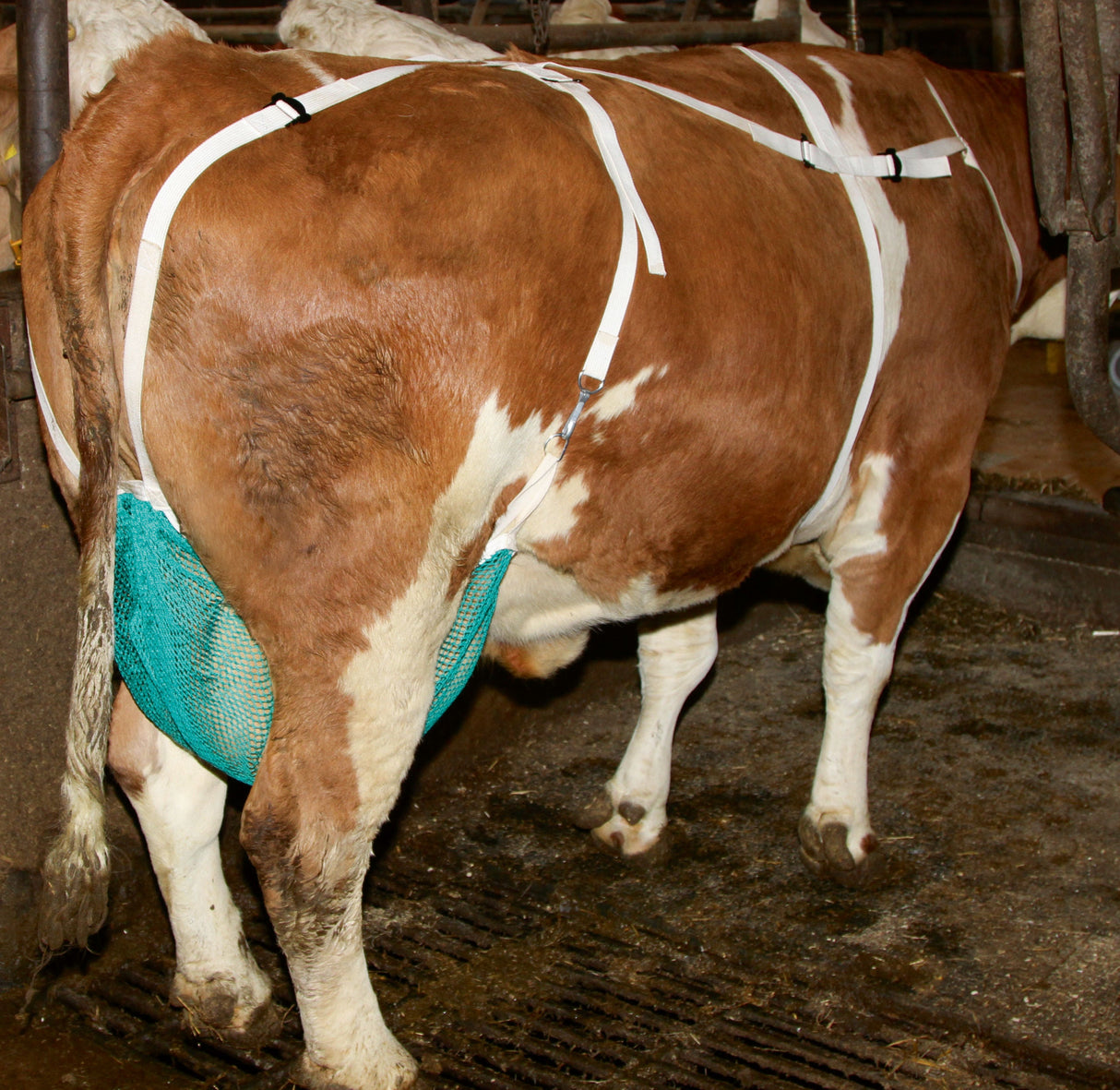 Kerbl Artikel 1567 im Online Shop kaufen