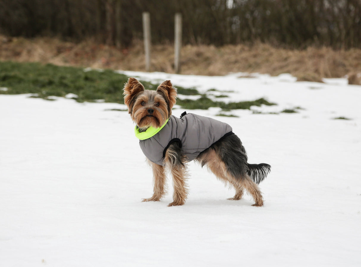 Kerbl Artikel 80658 im Online Shop kaufen