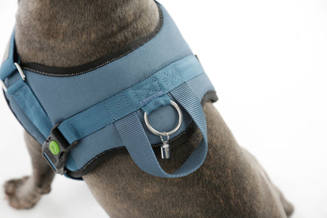 Kerbl Artikel 80210 im Online Shop kaufen