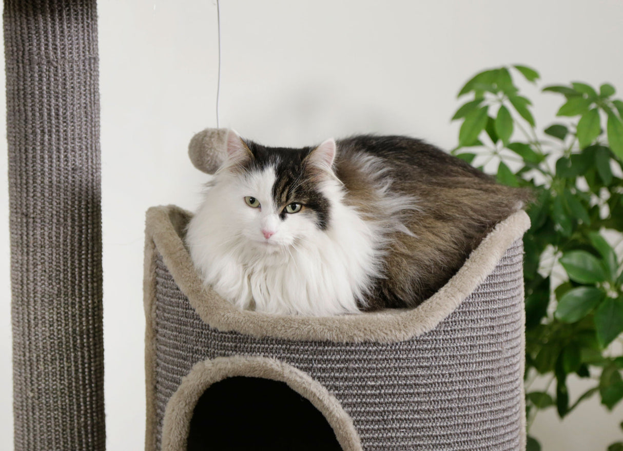 Kerbl Artikel 81620 im Online Shop kaufen