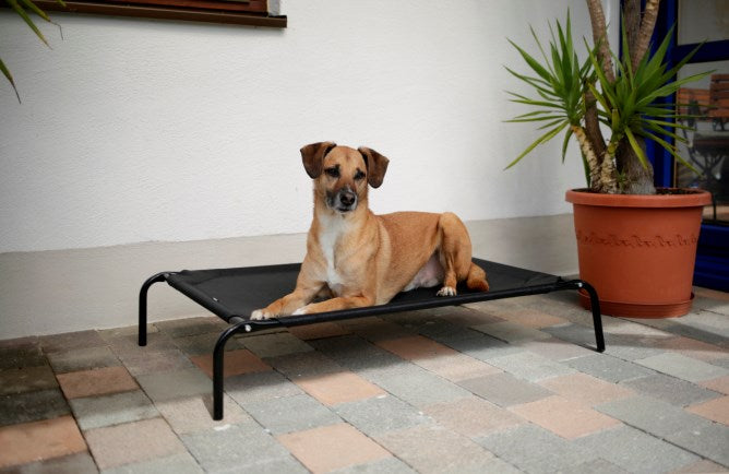 Kerbl Hundeliege Vacation schwarz, 130x80x20cm - 80345